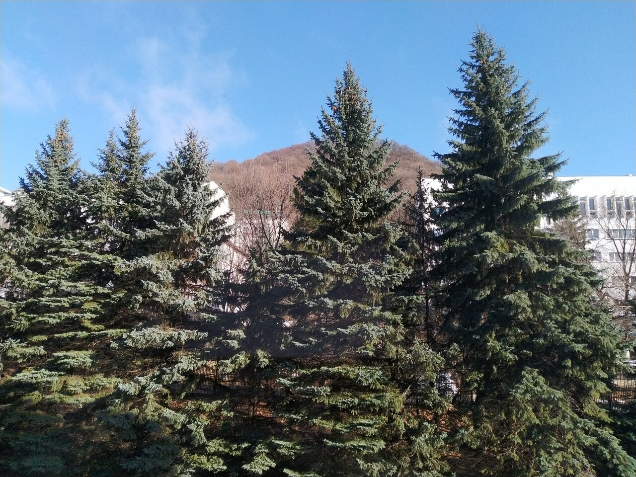 Гостиница Бештау Железноводск-128