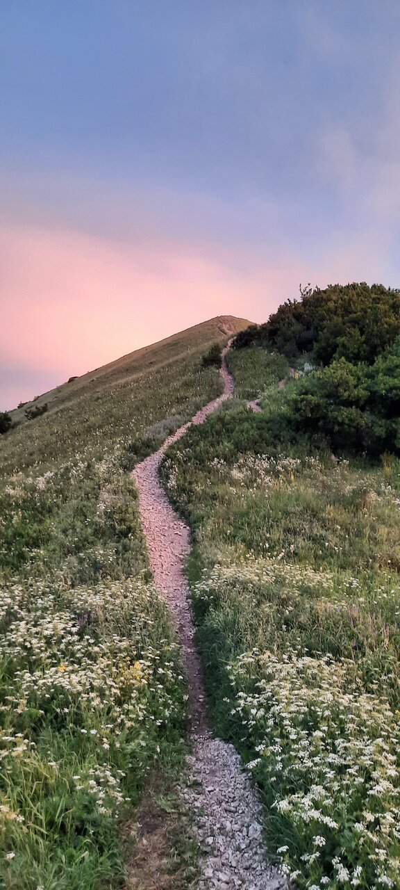 Гостиница Бештау Железноводск-106