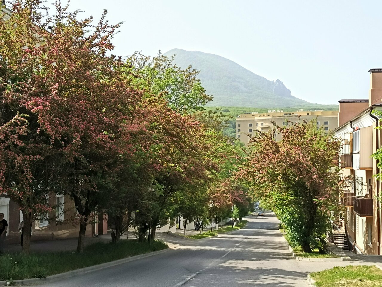 Гостиница Бештау Железноводск-90