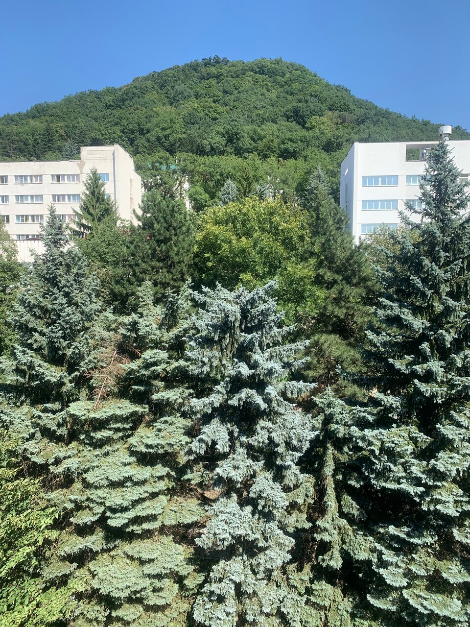 Гостиница Бештау Железноводск-94