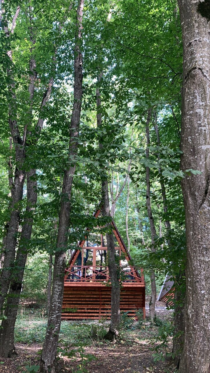 Гостиница Бештау Железноводск-166