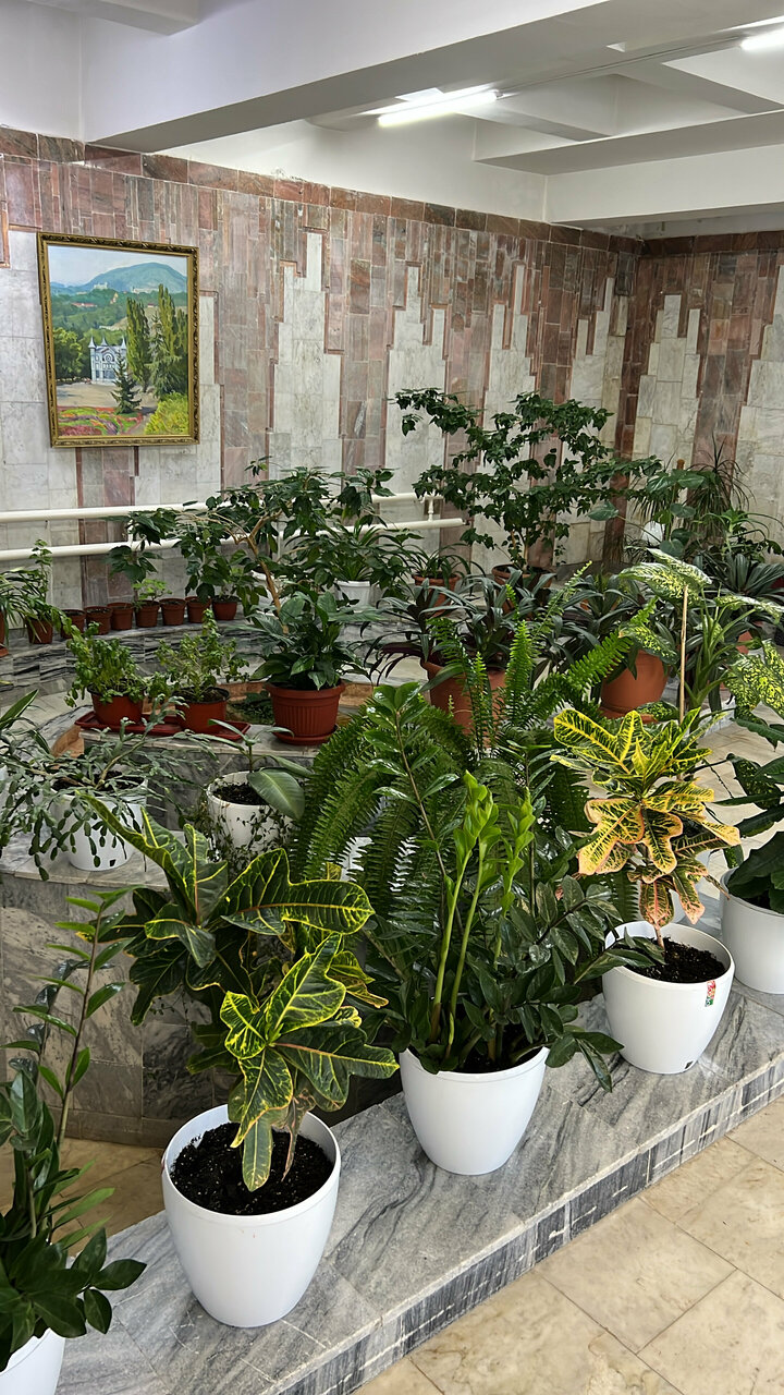 Гостиница Бештау Железноводск-212