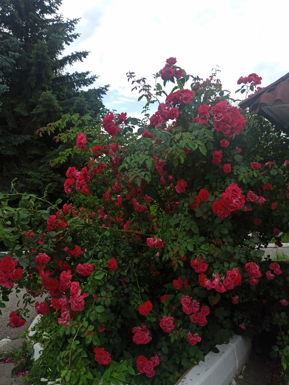 Гостиница Бештау Железноводск-151