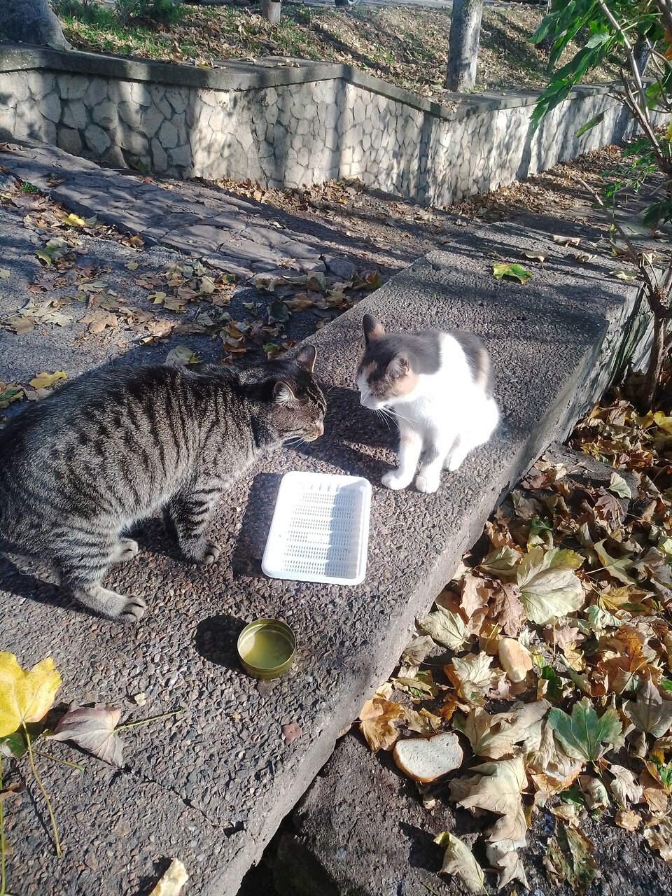 Гостиница Бештау Железноводск-217