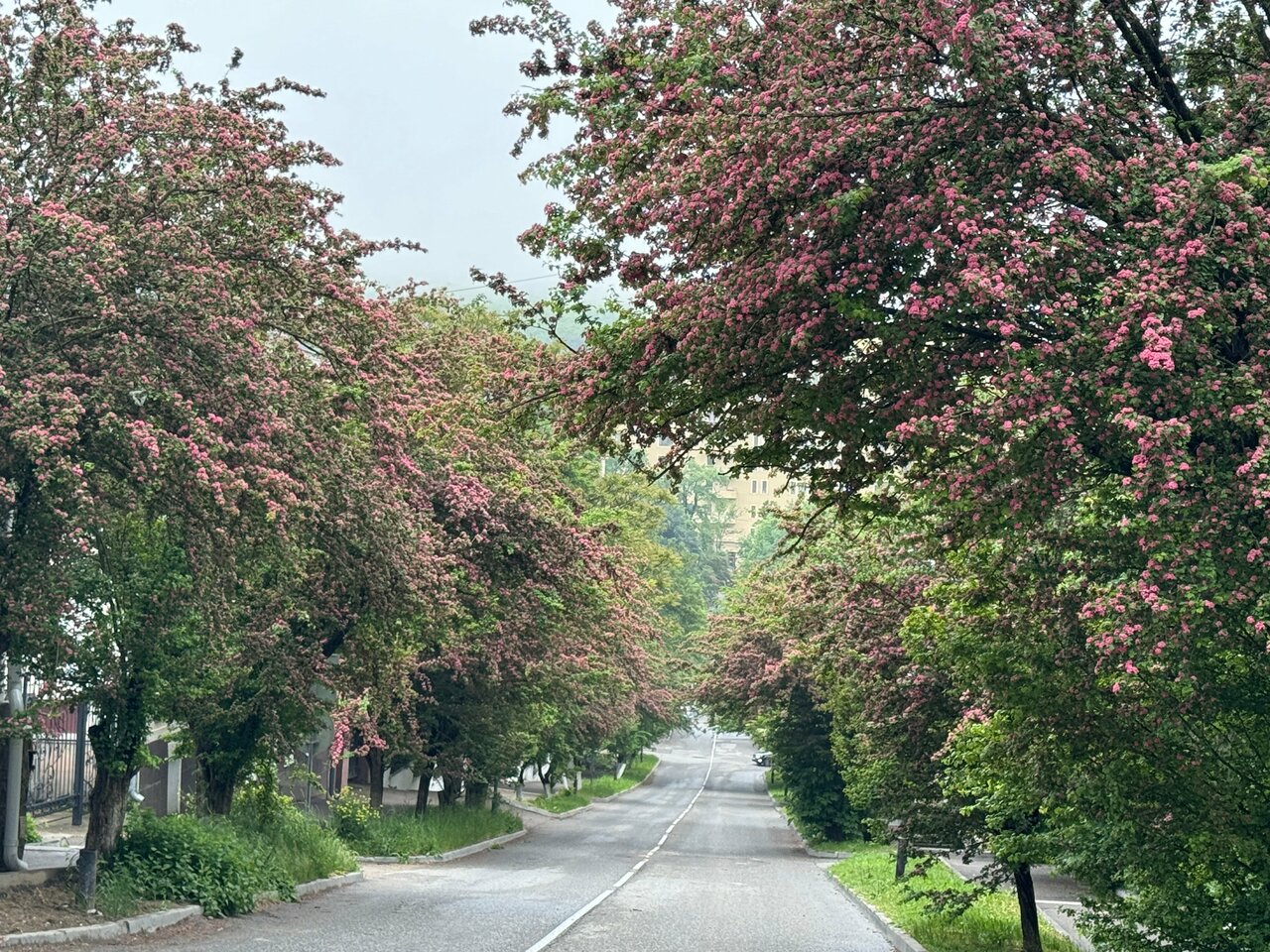 Гостиница Бештау Железноводск-246