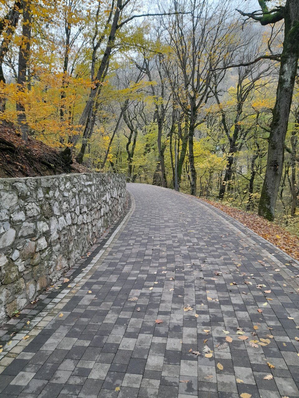 Гостиница Бештау Железноводск-104