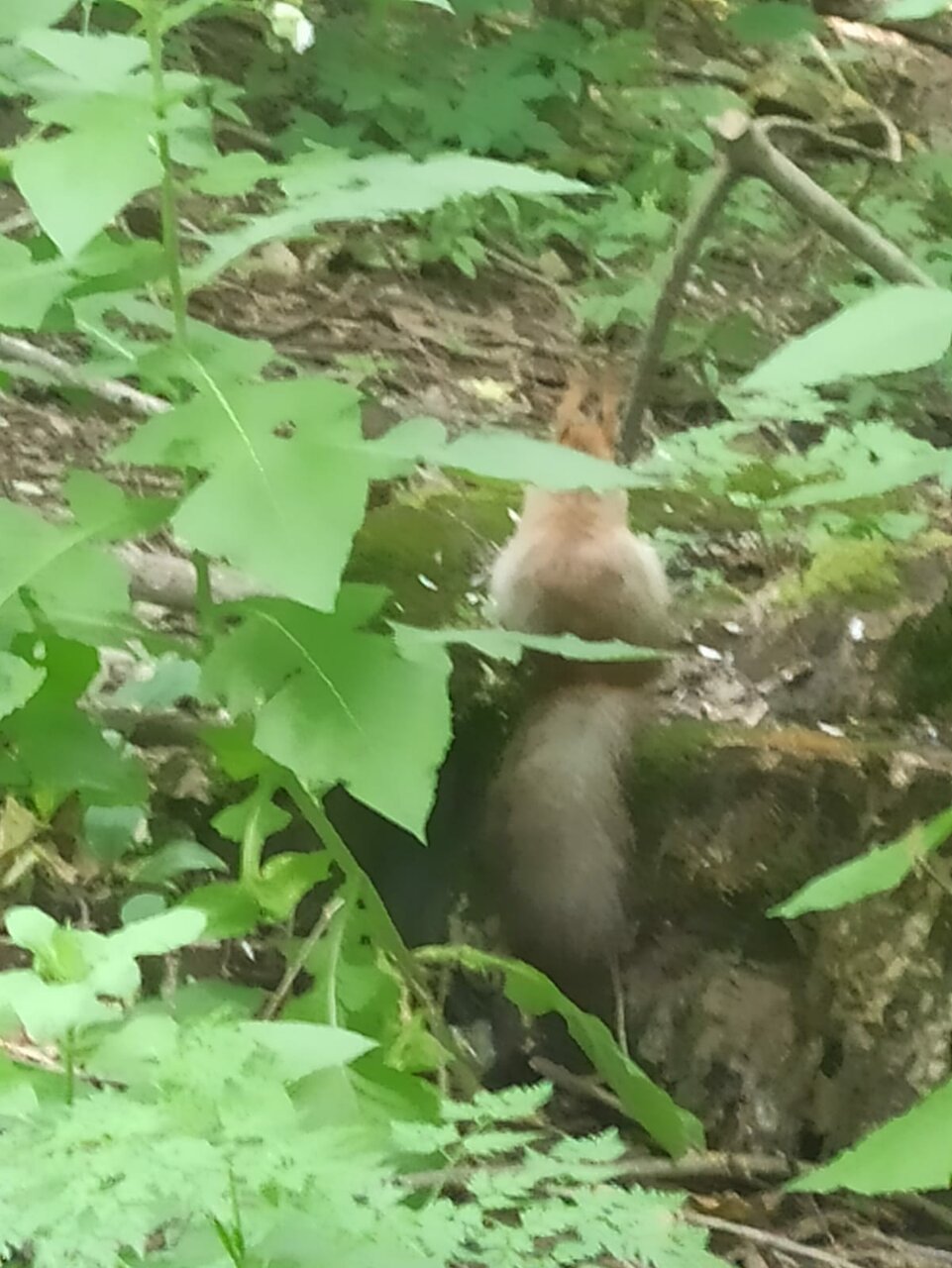 Гостиница Бештау Железноводск-117