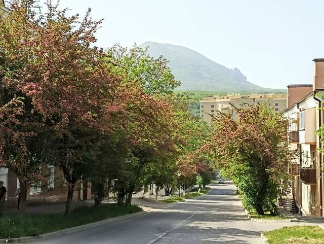 Гостиница Бештау Железноводск-89