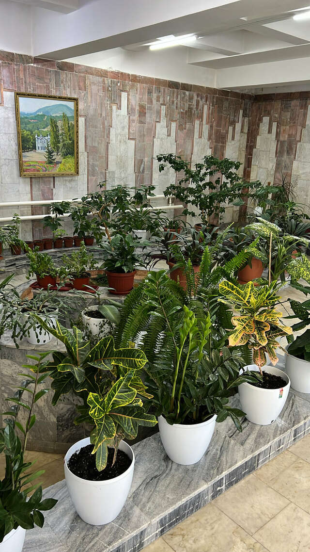 Гостиница Бештау Железноводск-211