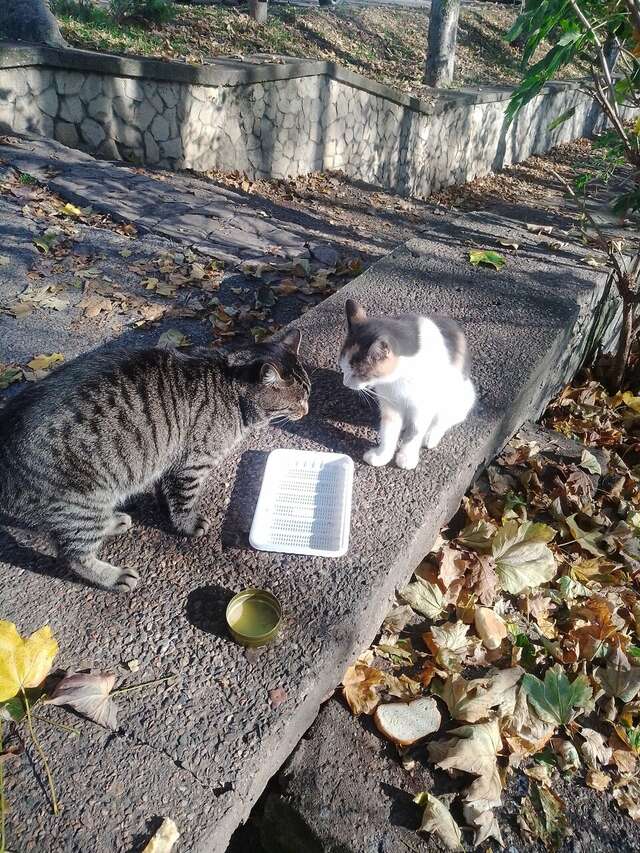 Гостиница Бештау Железноводск-216