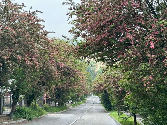 Гостиница Бештау Железноводск-245