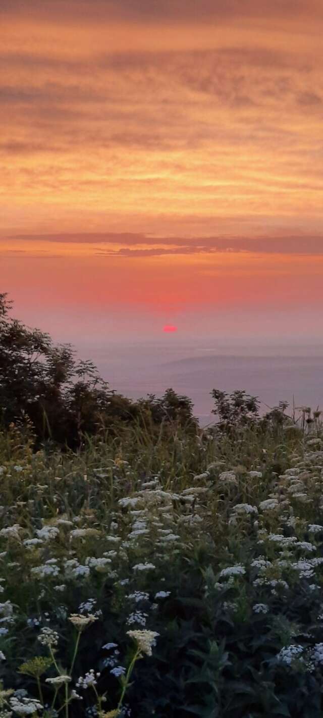 Гостиница Бештау Железноводск-250