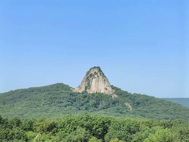 Гостиница Бештау Железноводск-206