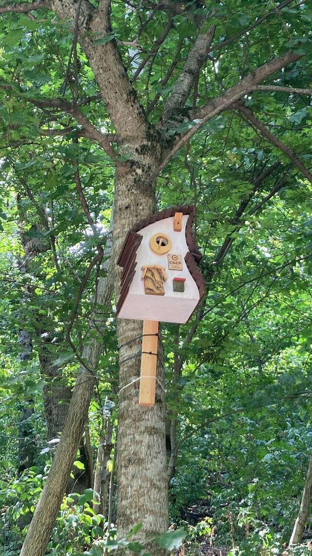 Гостиница Бештау Железноводск-252