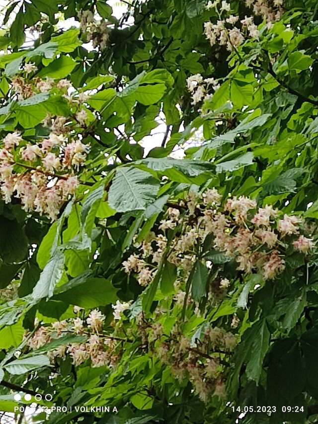 Гостиница Бештау Железноводск-145