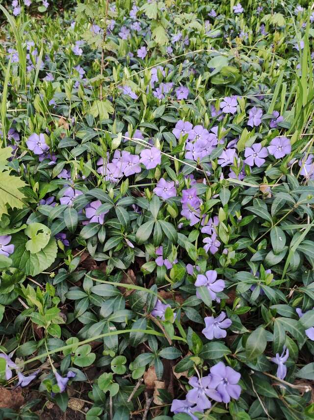 Гостиница Бештау Железноводск-202