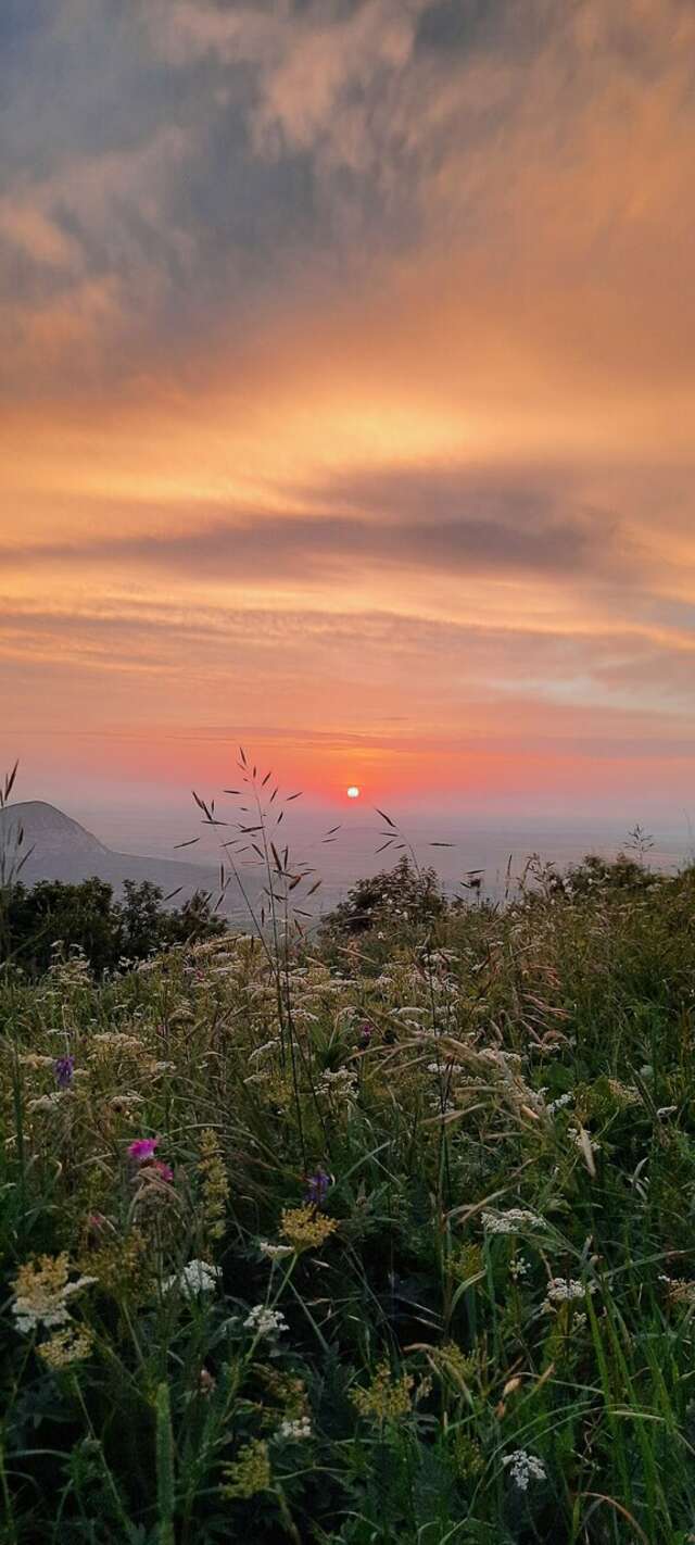 Гостиница Бештау Железноводск-179