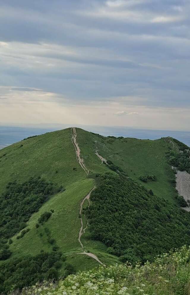 Гостиница Бештау Железноводск-143