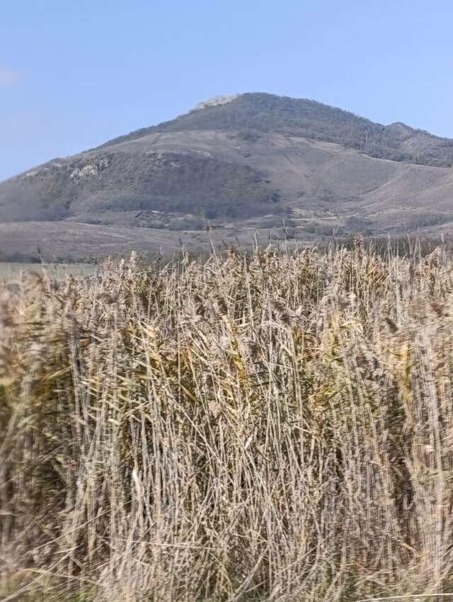 Гостиница Бештау Железноводск-158